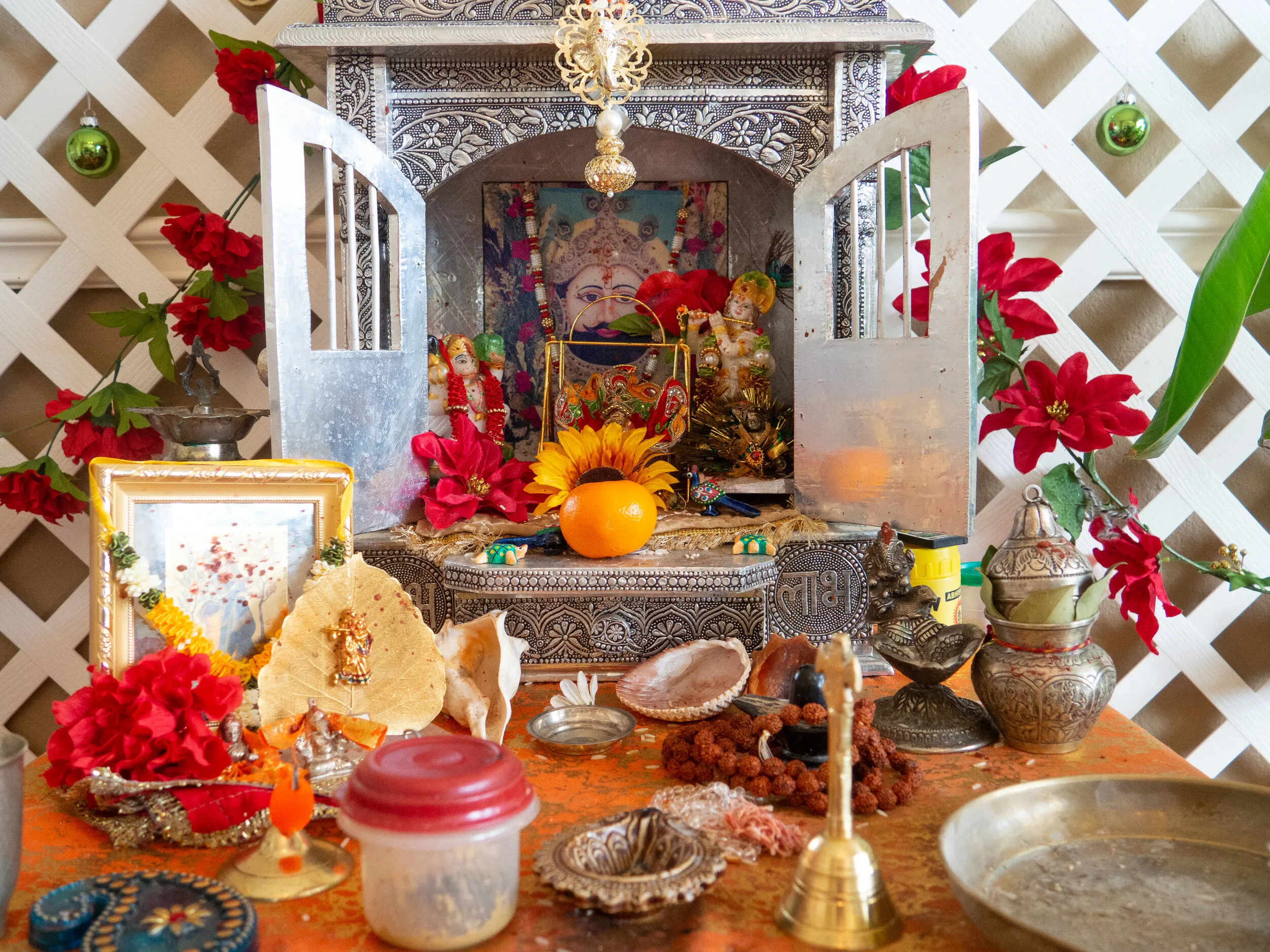Indian Culture in America — photography by Chirag Bachani