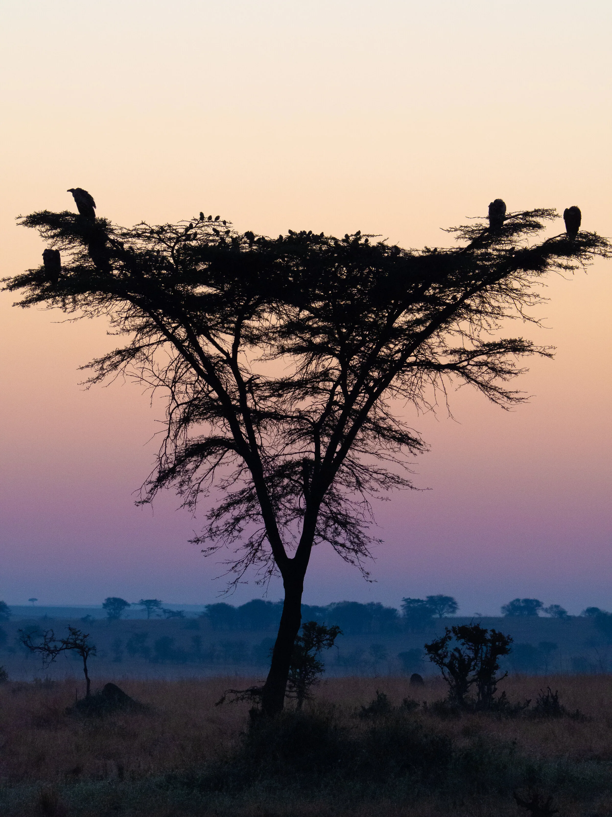 Tanzania travel photograph 1 by Chirag Bachani