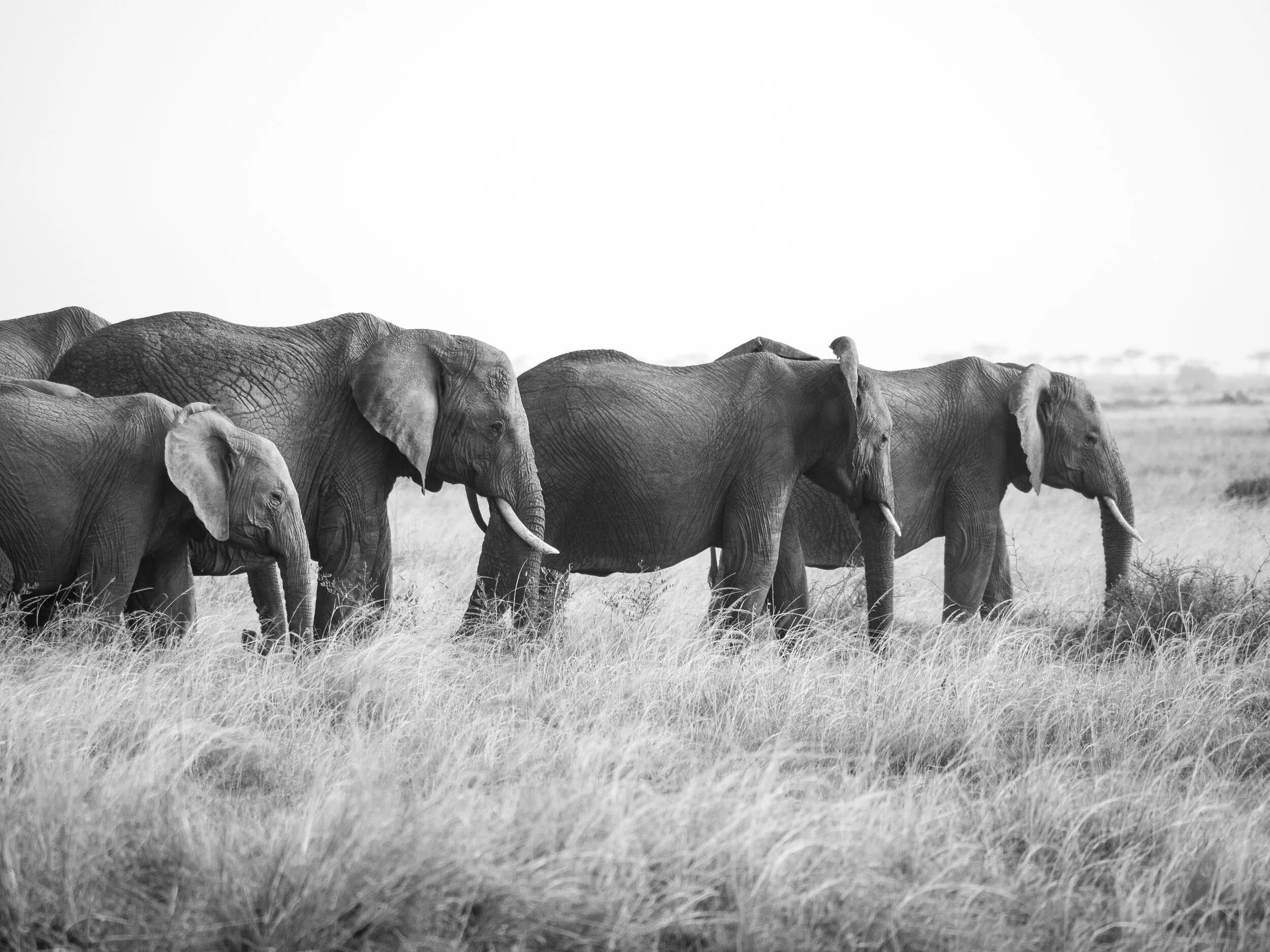 Travel — photography by Chirag Bachani