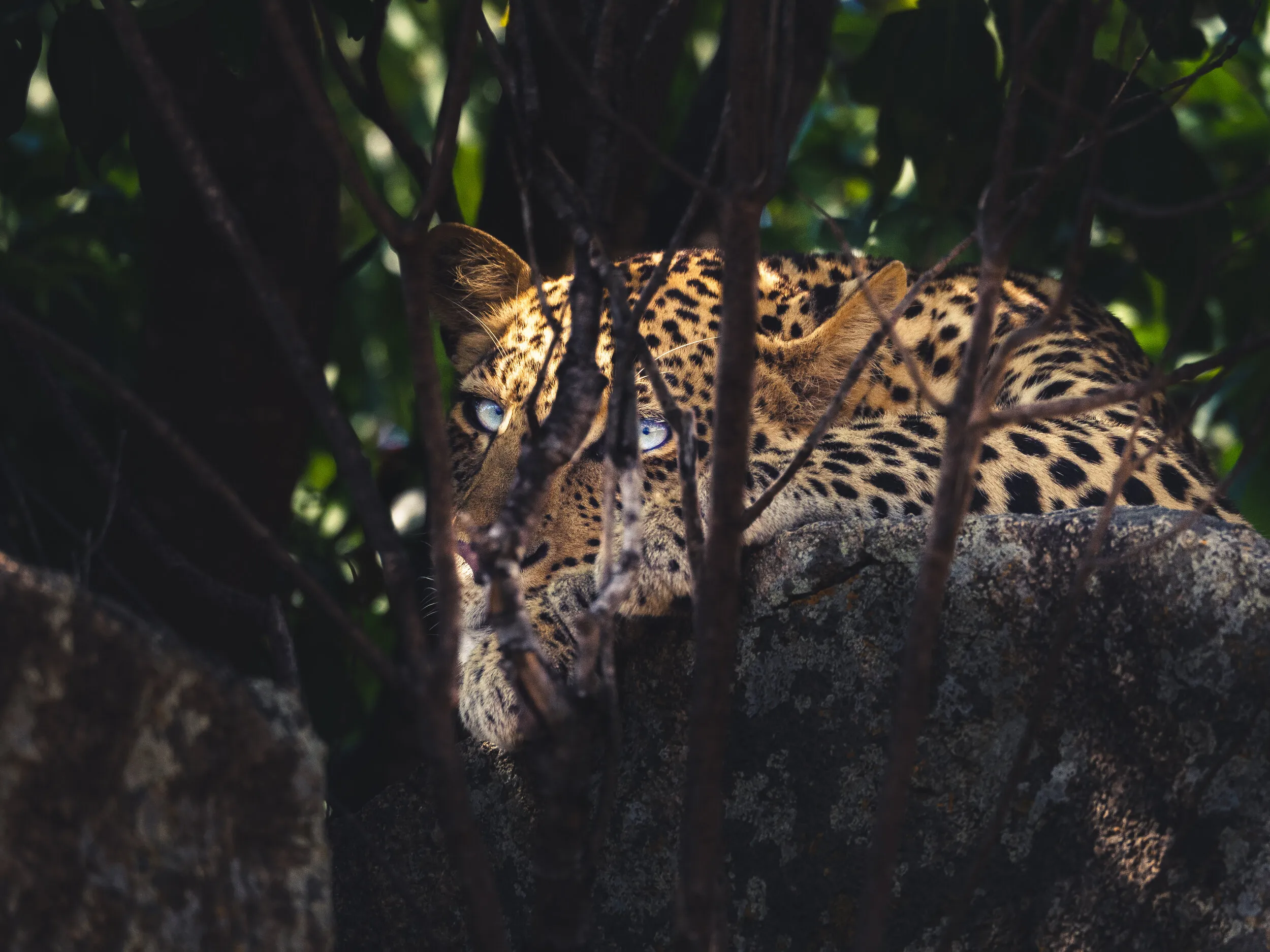 Tanzania travel photograph 2 by Chirag Bachani
