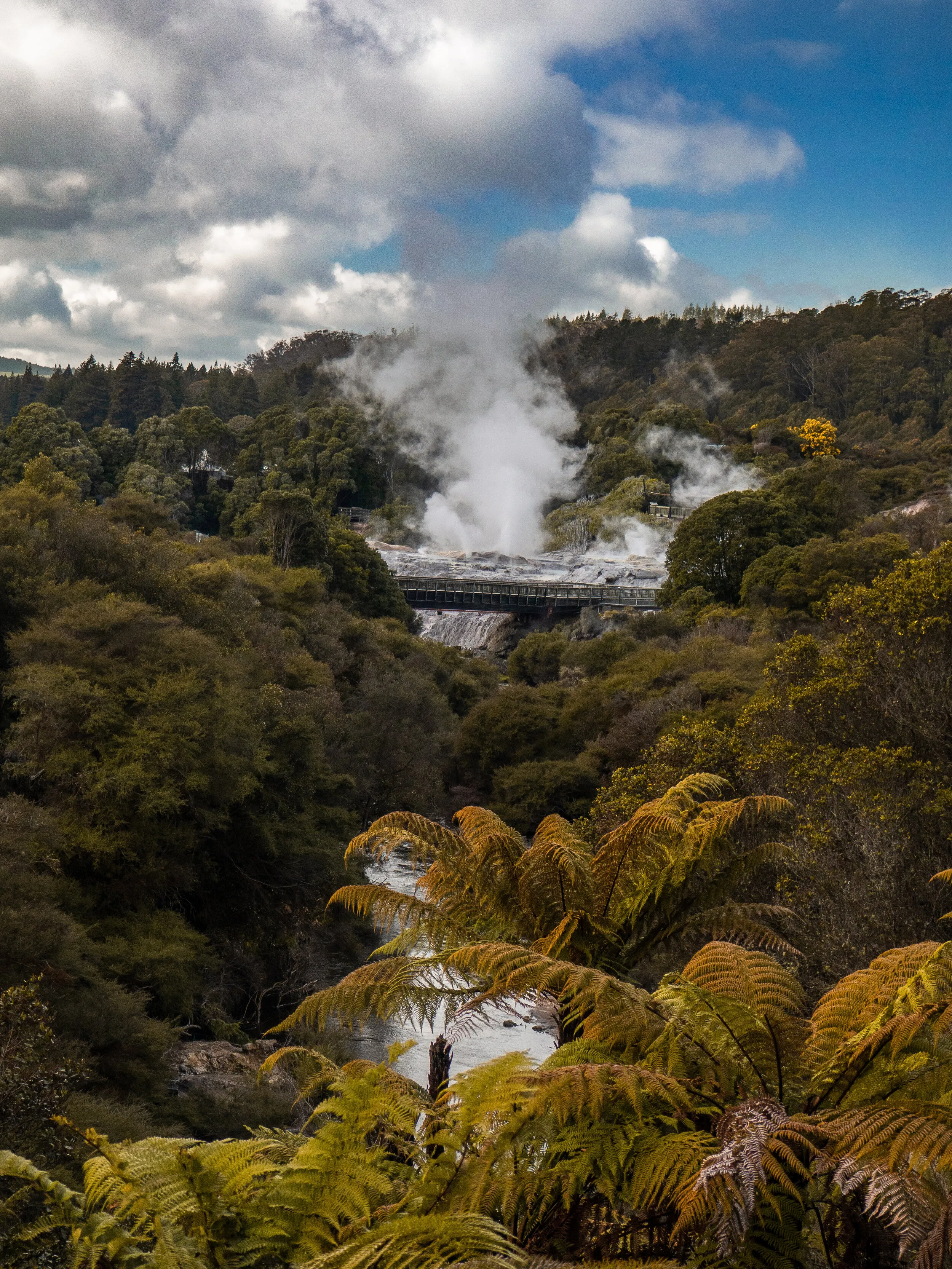 New Zealand travel photograph 2 by Chirag Bachani