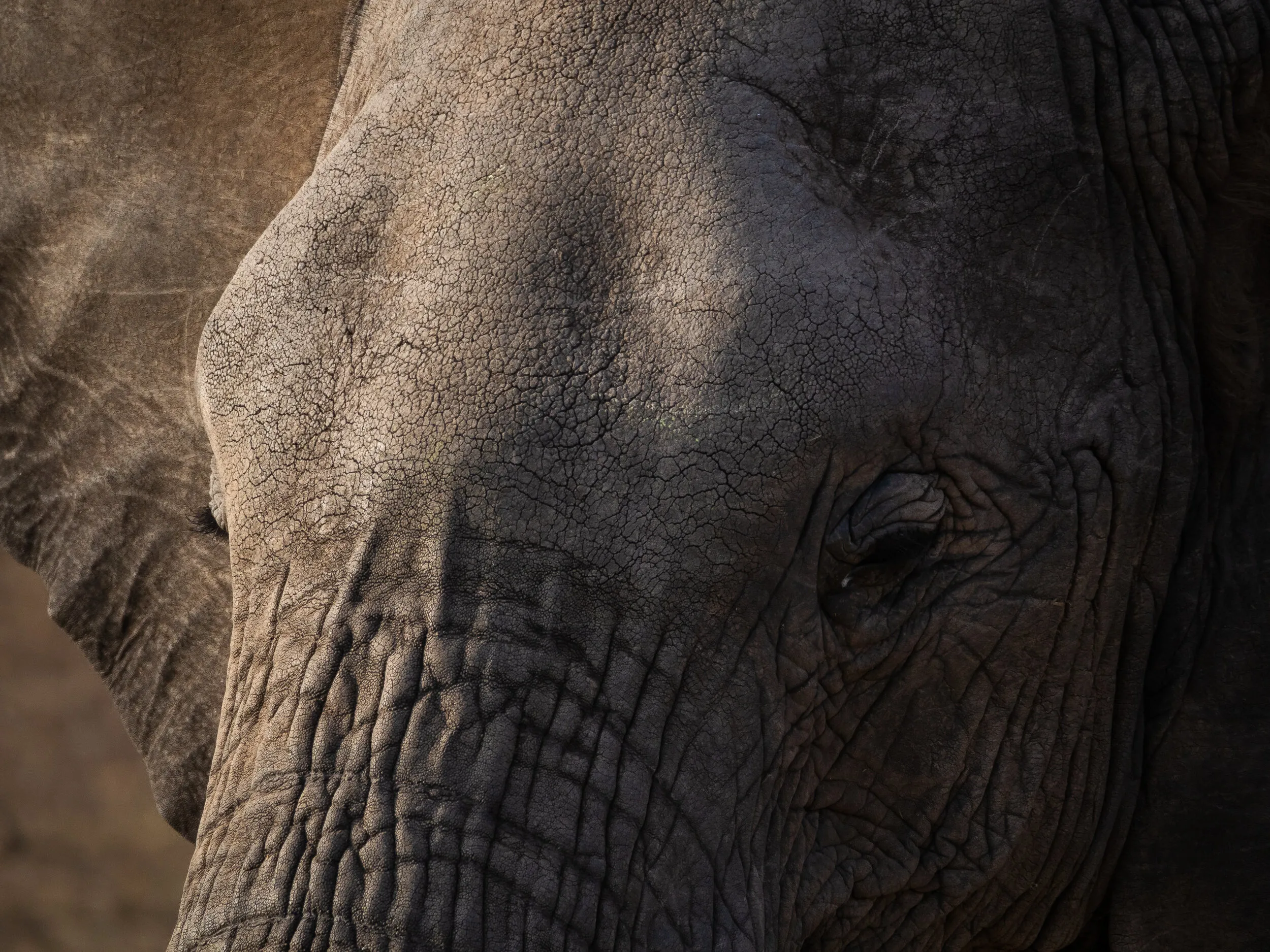 Kenya travel photograph 3 by Chirag Bachani