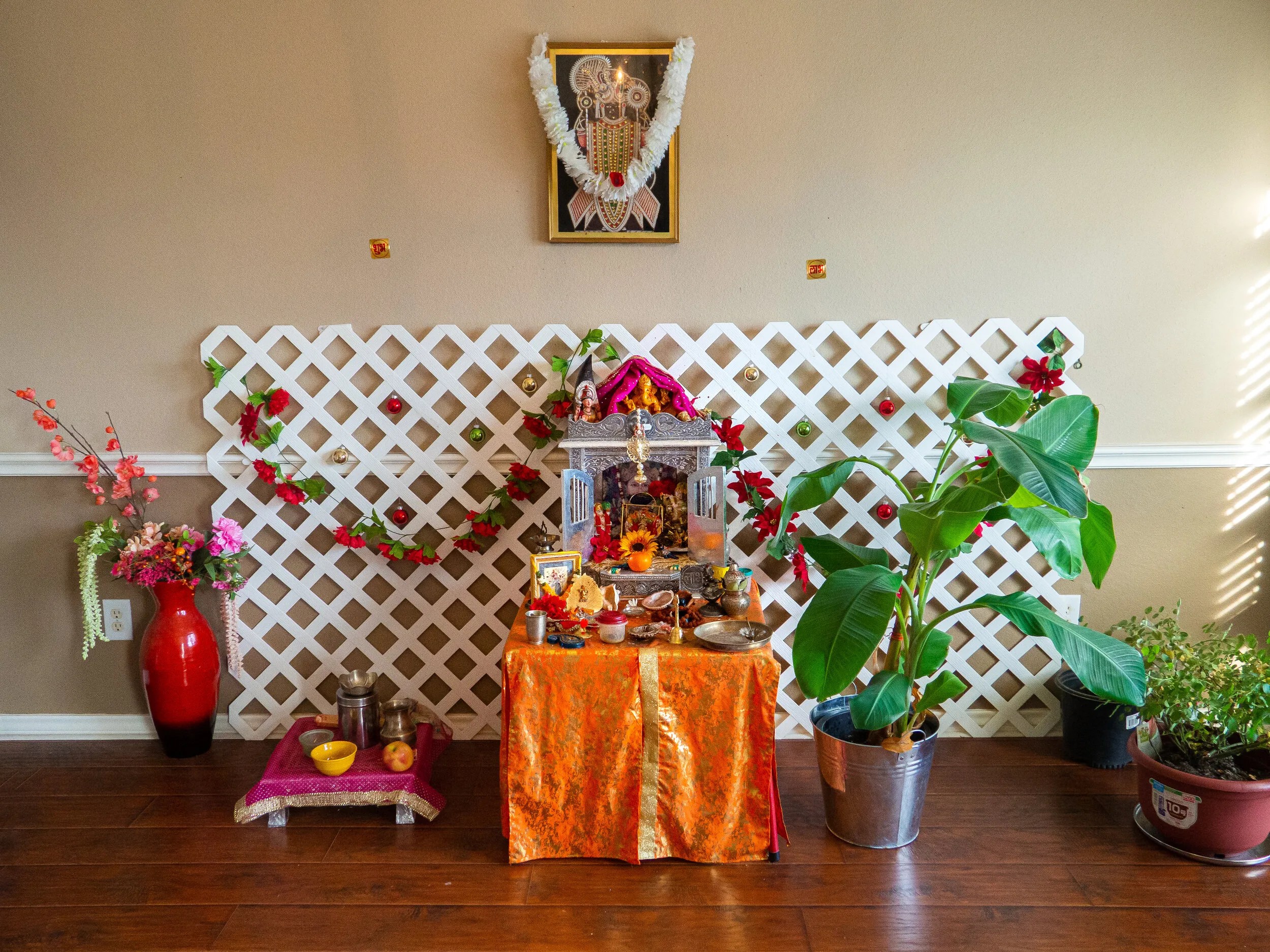 Indian Culture in America 4 by Chirag Bachani