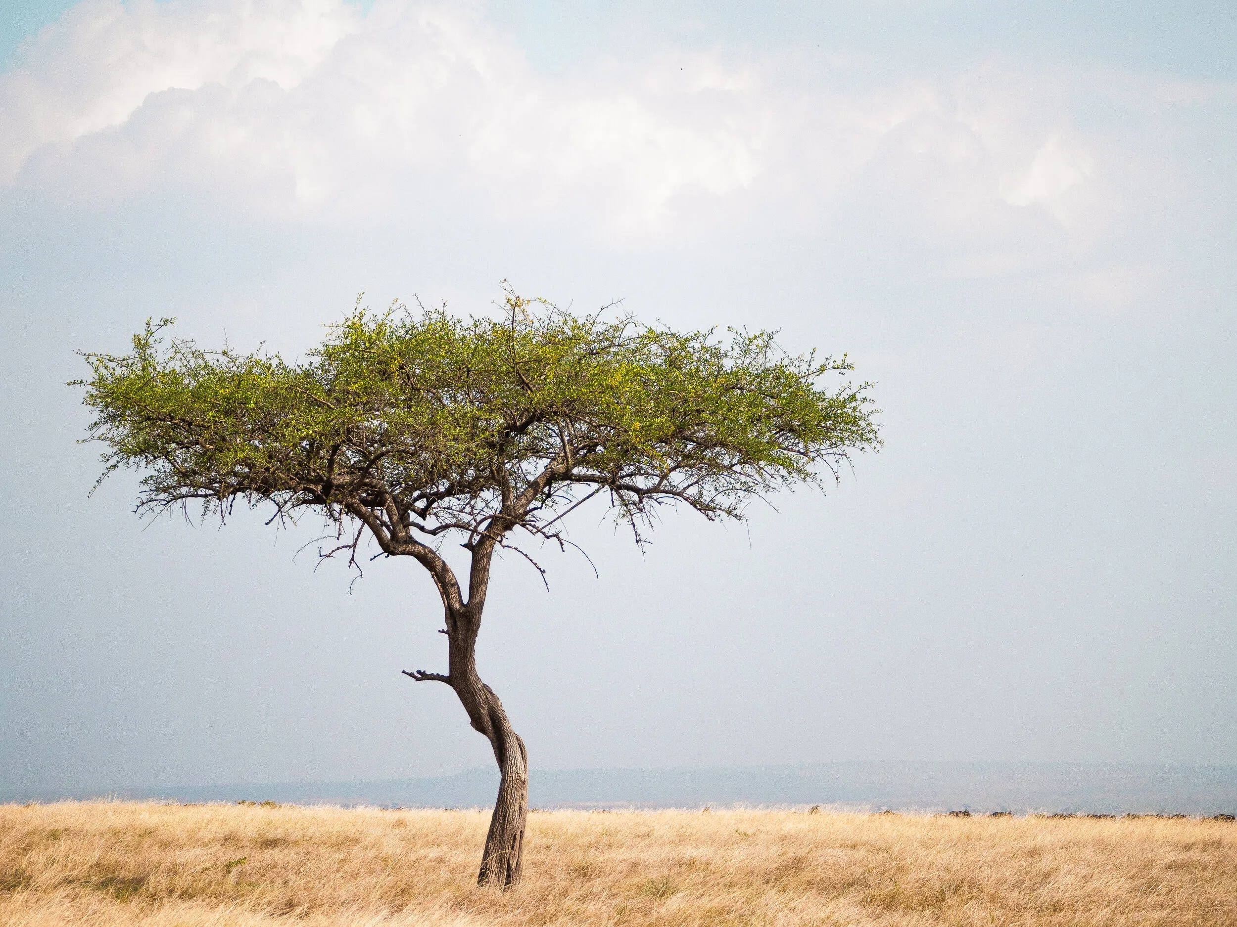 Tanzania travel photograph 4 by Chirag Bachani