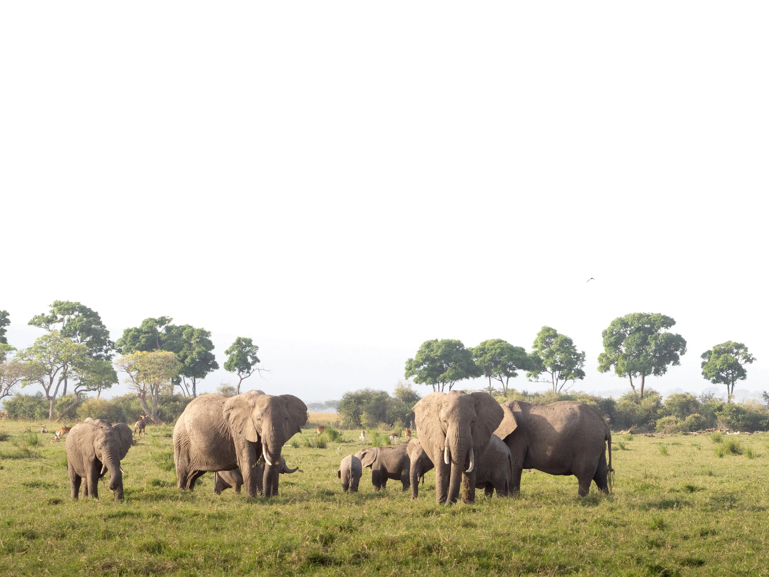 Tanzania travel photograph 5 by Chirag Bachani