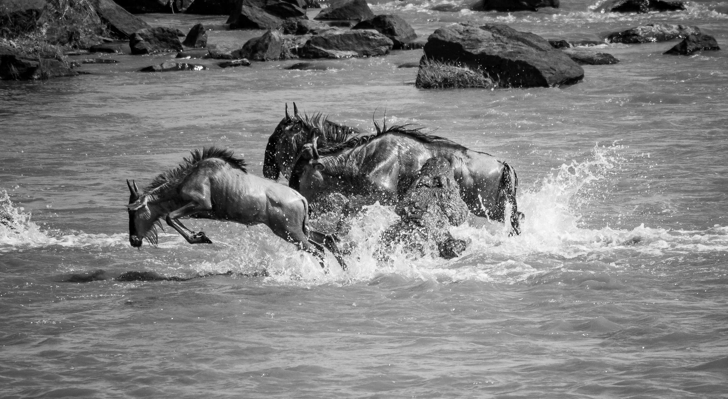 Tanzania travel photograph 6 by Chirag Bachani