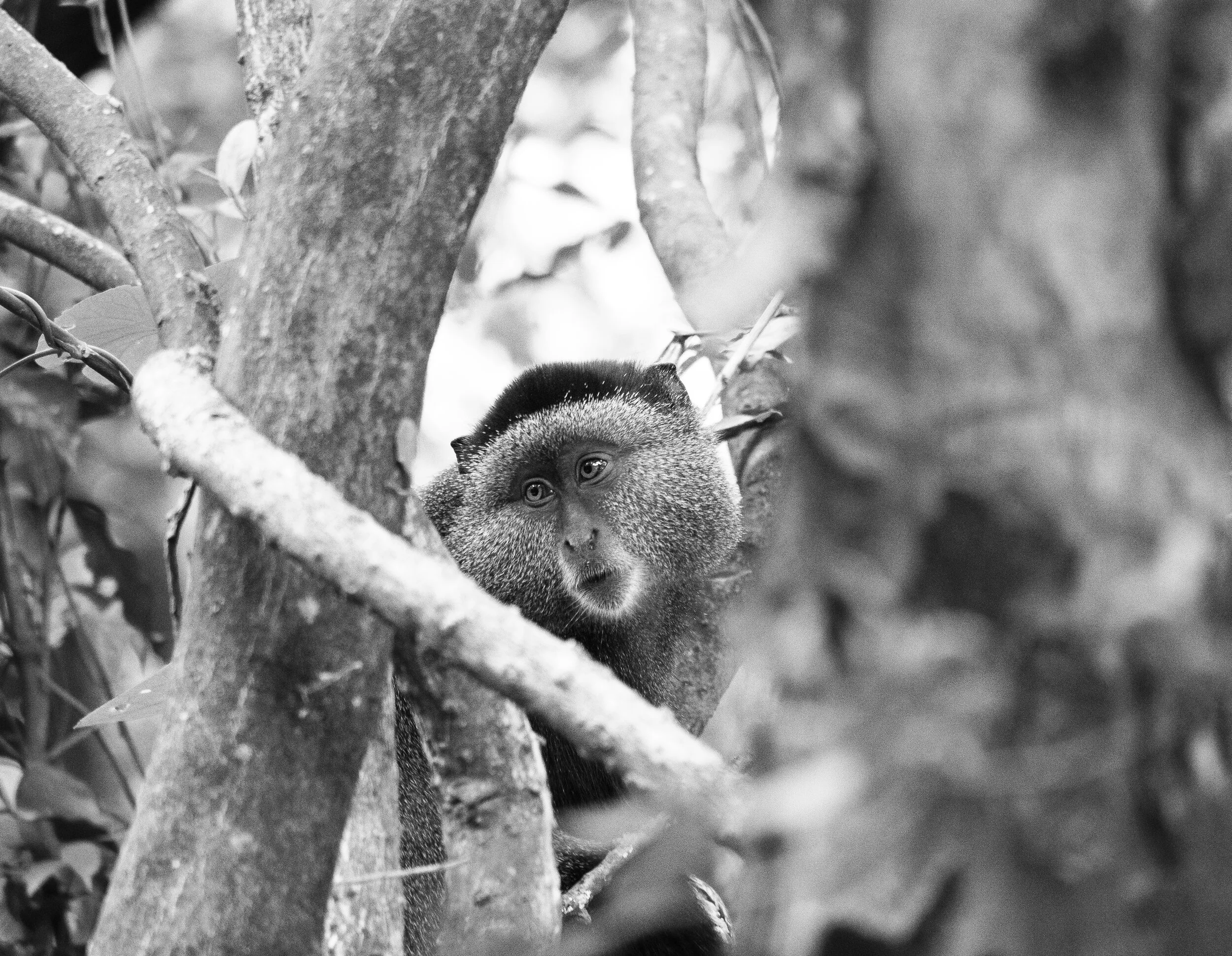 Kenya travel photograph 6 by Chirag Bachani