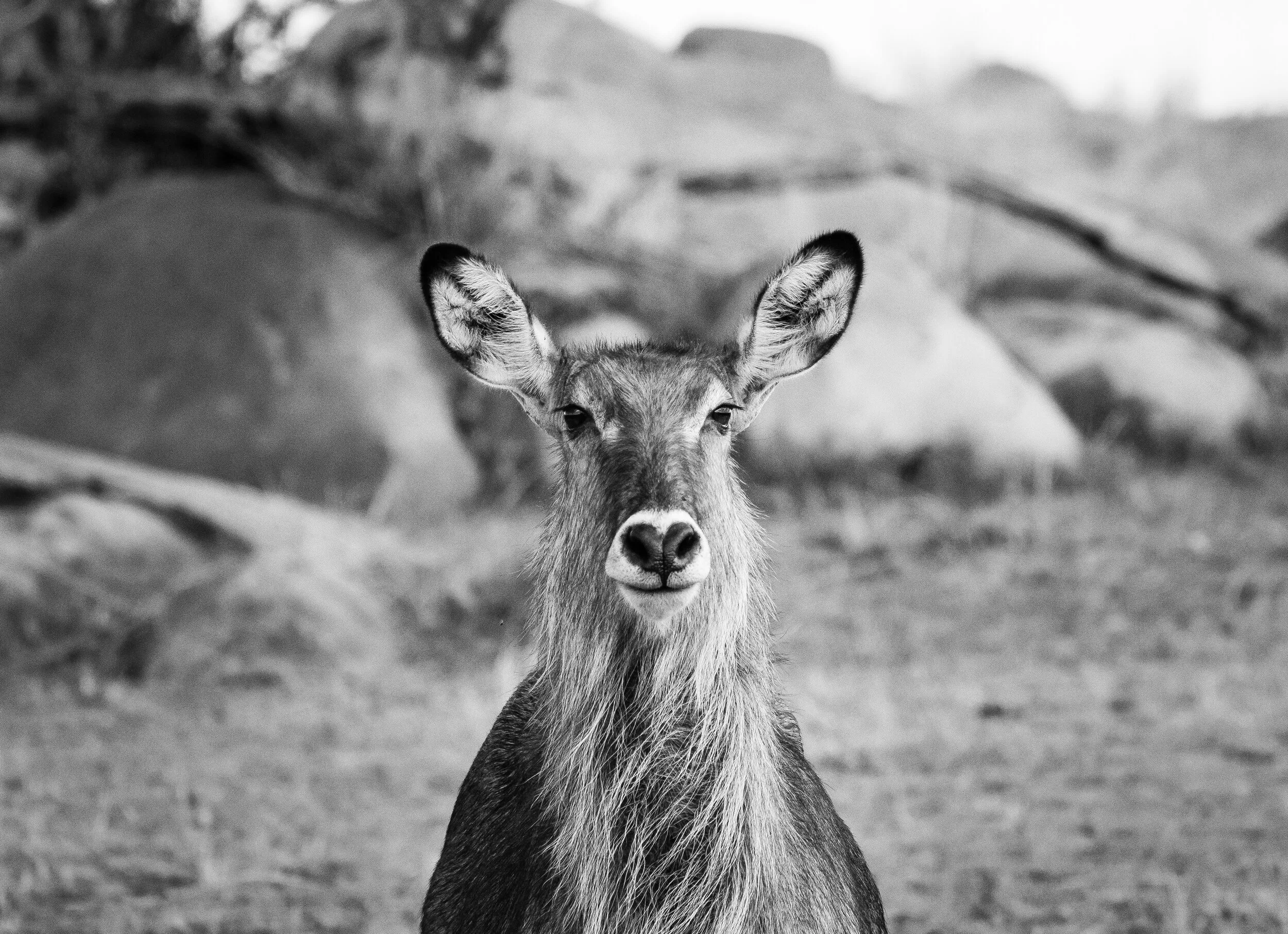 Tanzania travel photograph 7 by Chirag Bachani