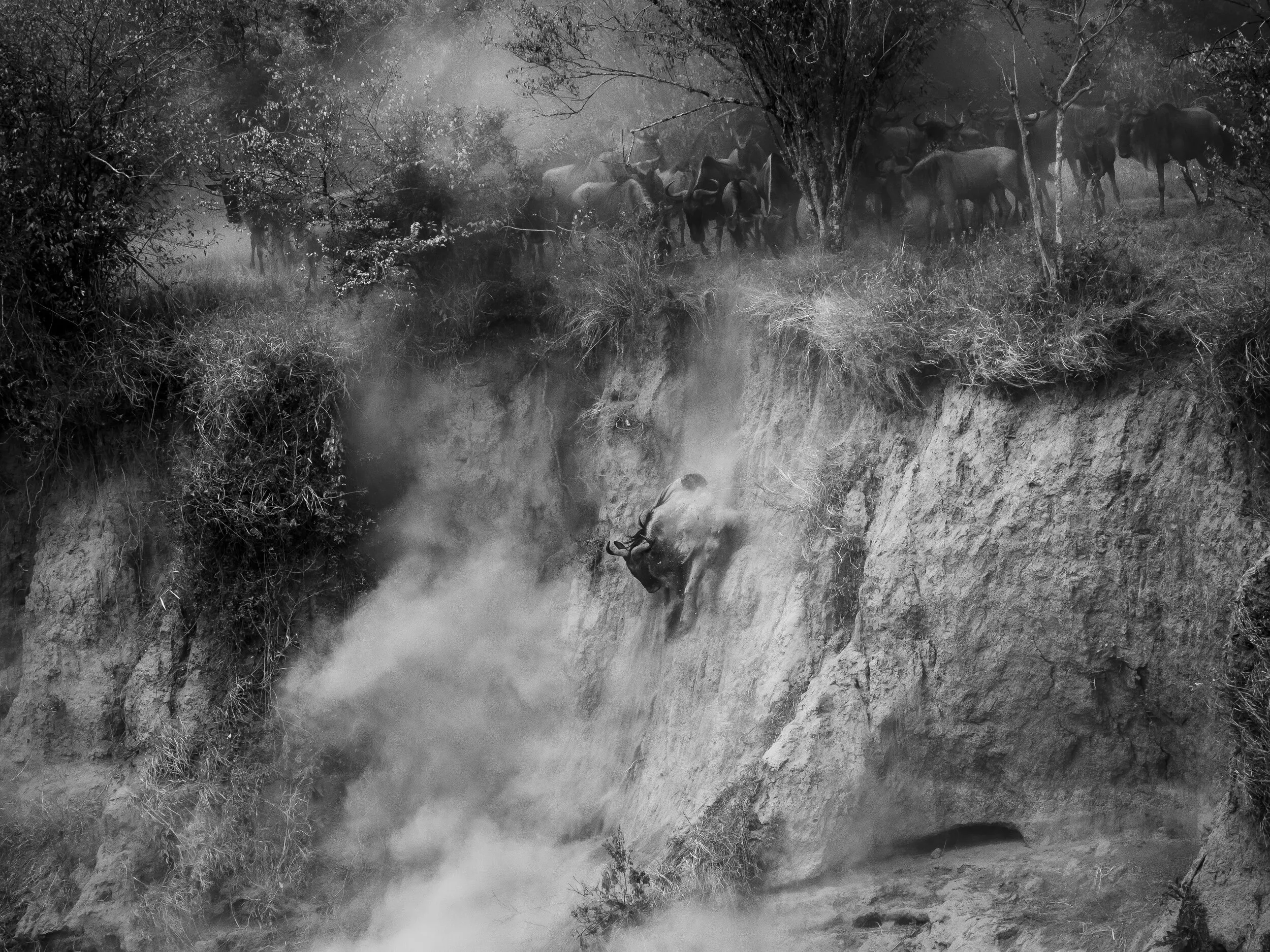 Kenya travel photograph 7 by Chirag Bachani