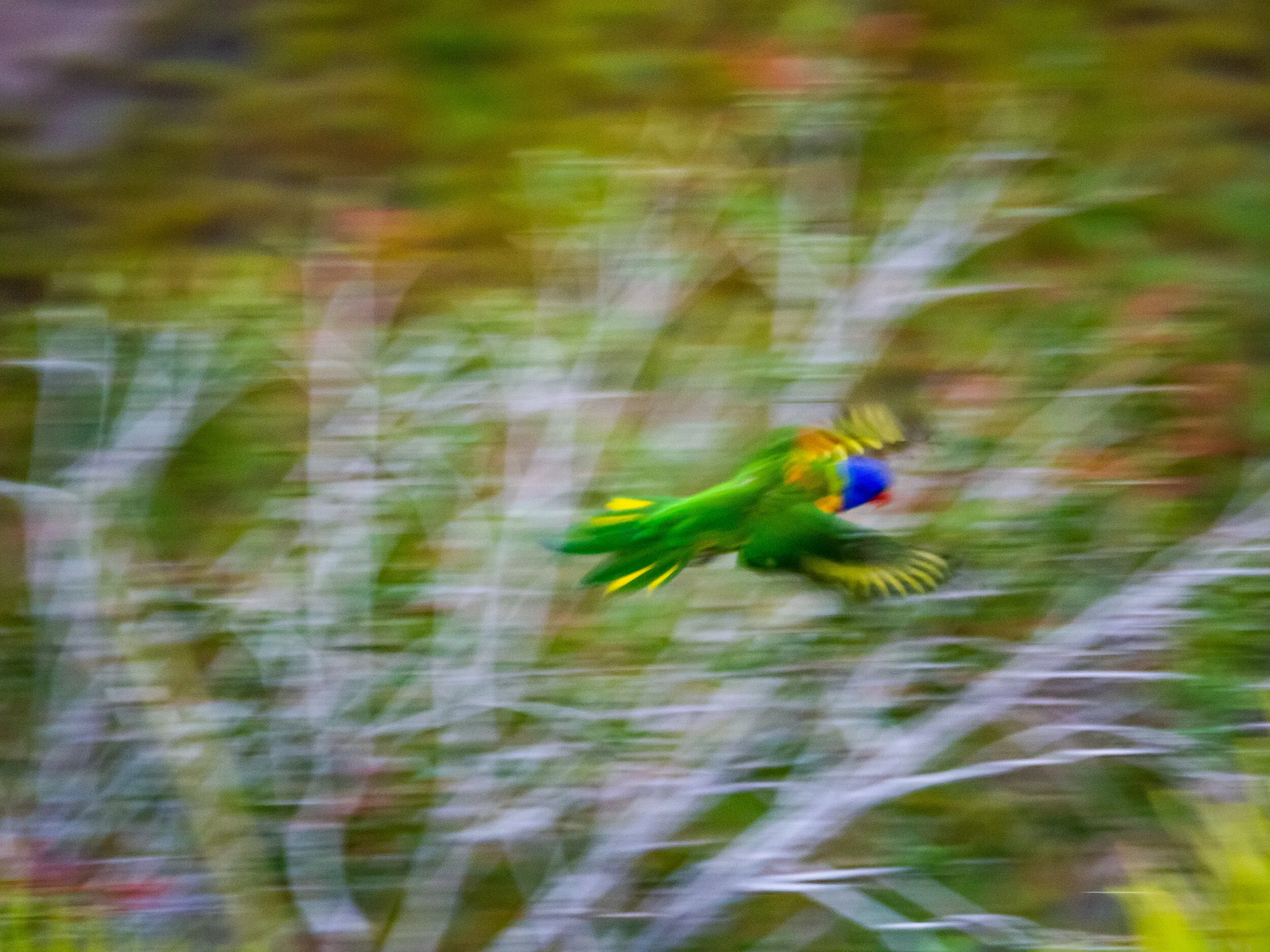 Australia travel photograph 7 by Chirag Bachani