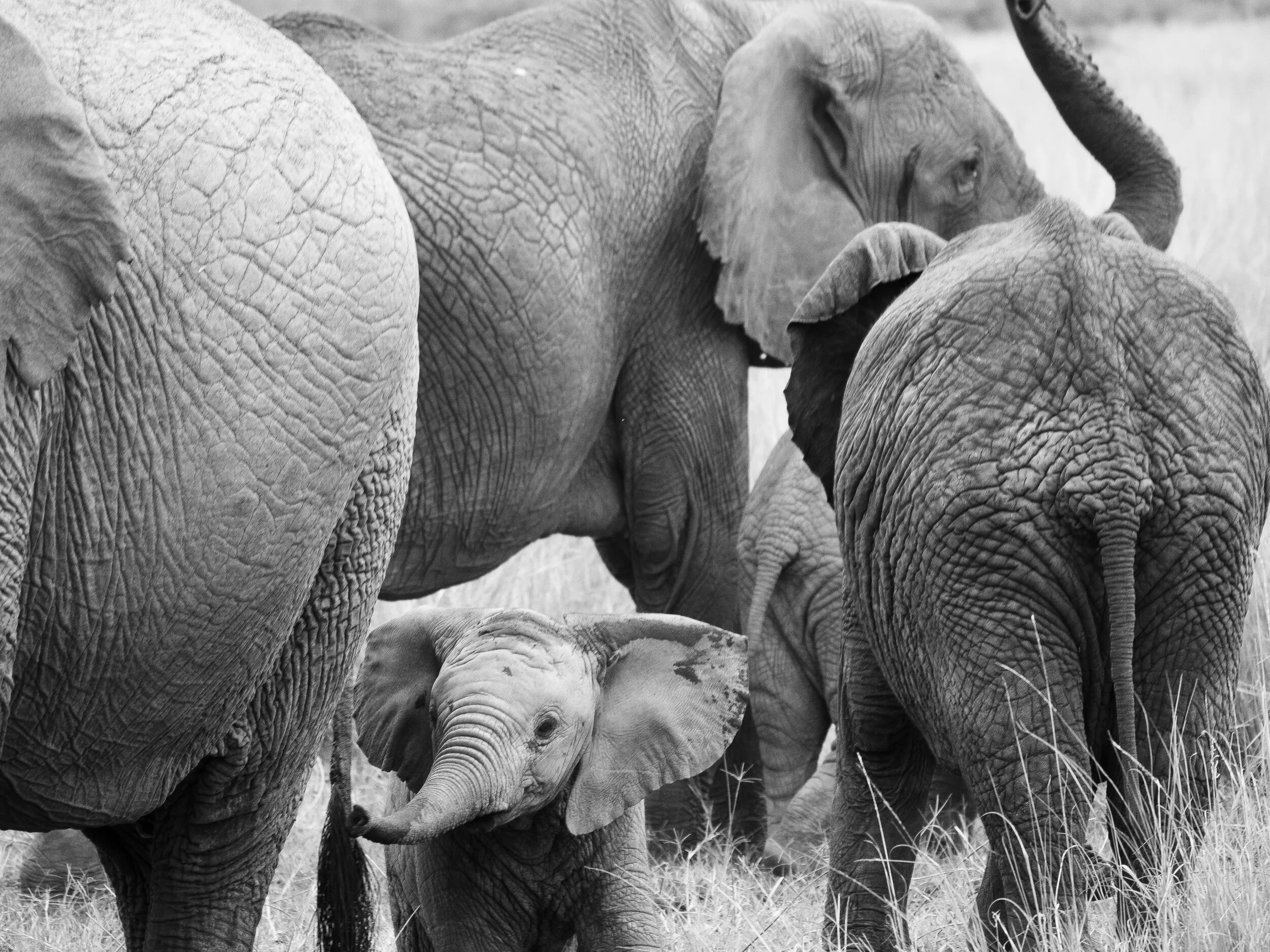 Kenya travel photograph 8 by Chirag Bachani