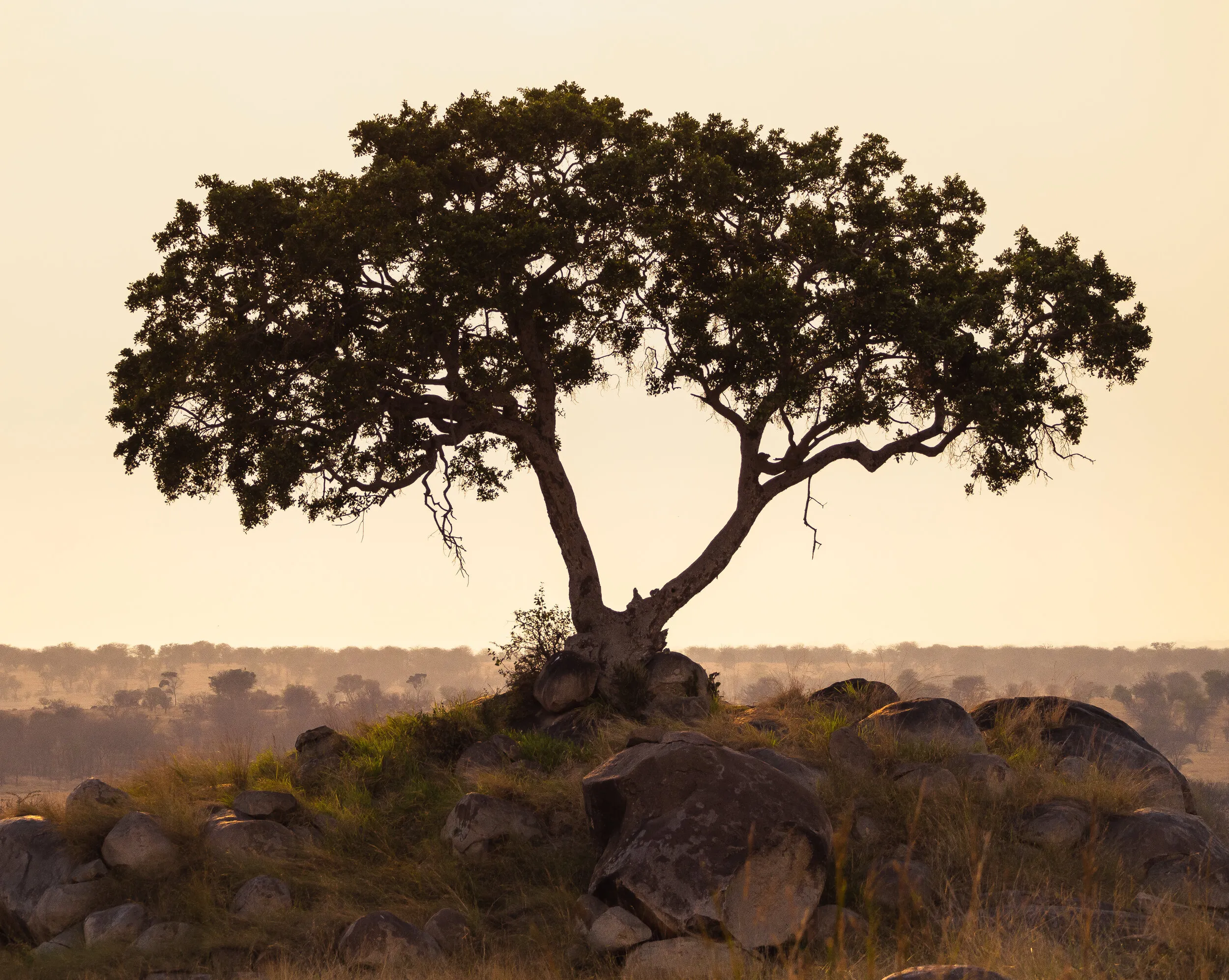 Tanzania travel photograph 9 by Chirag Bachani