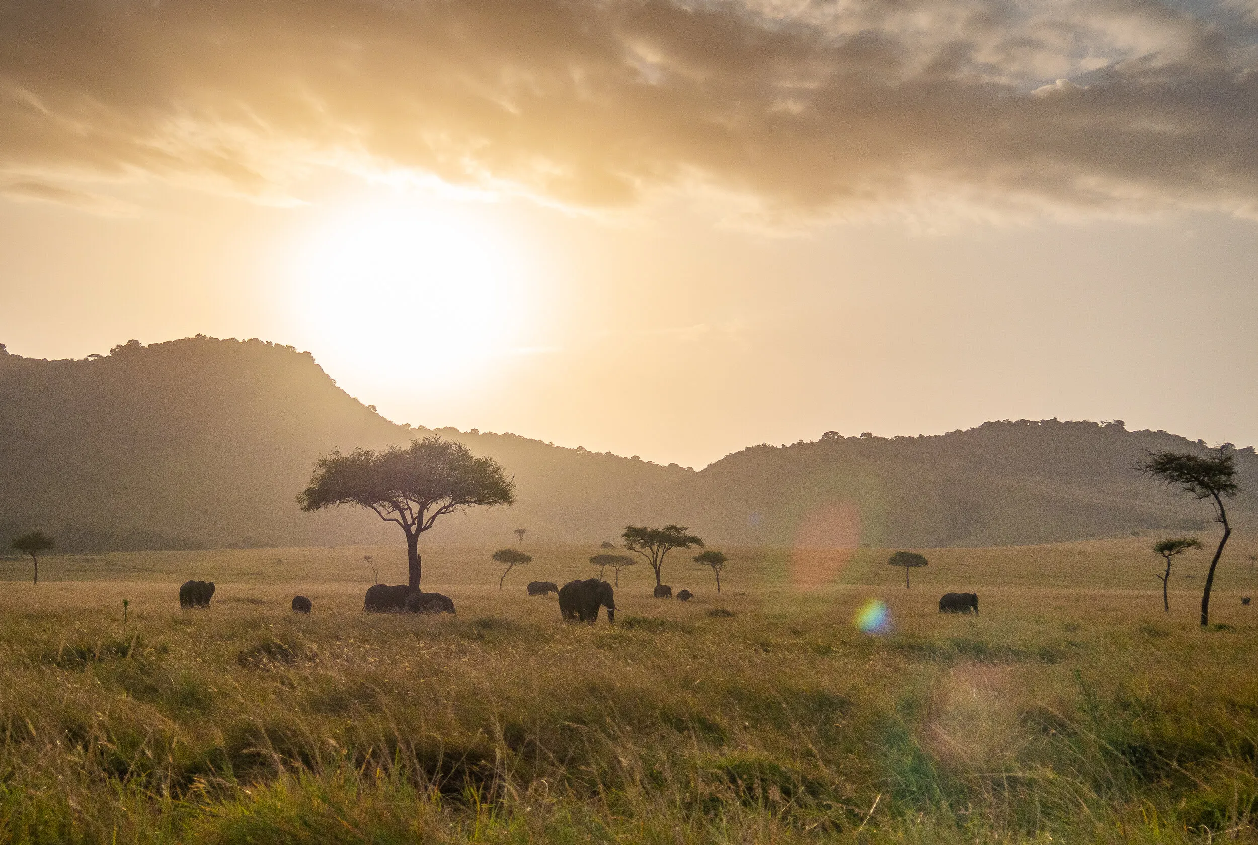 Kenya travel photograph 9 by Chirag Bachani
