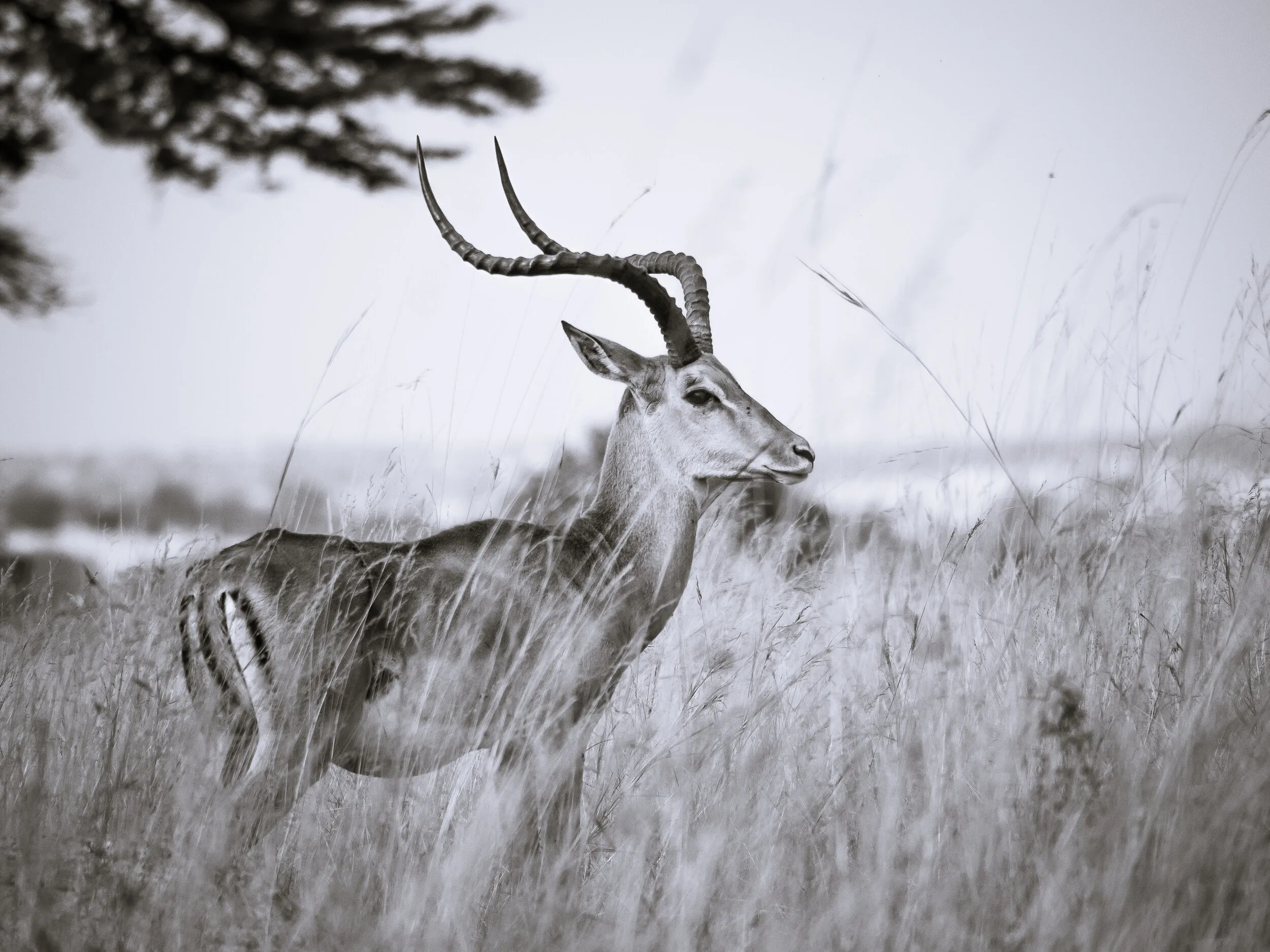 Tanzania travel photograph 11 by Chirag Bachani