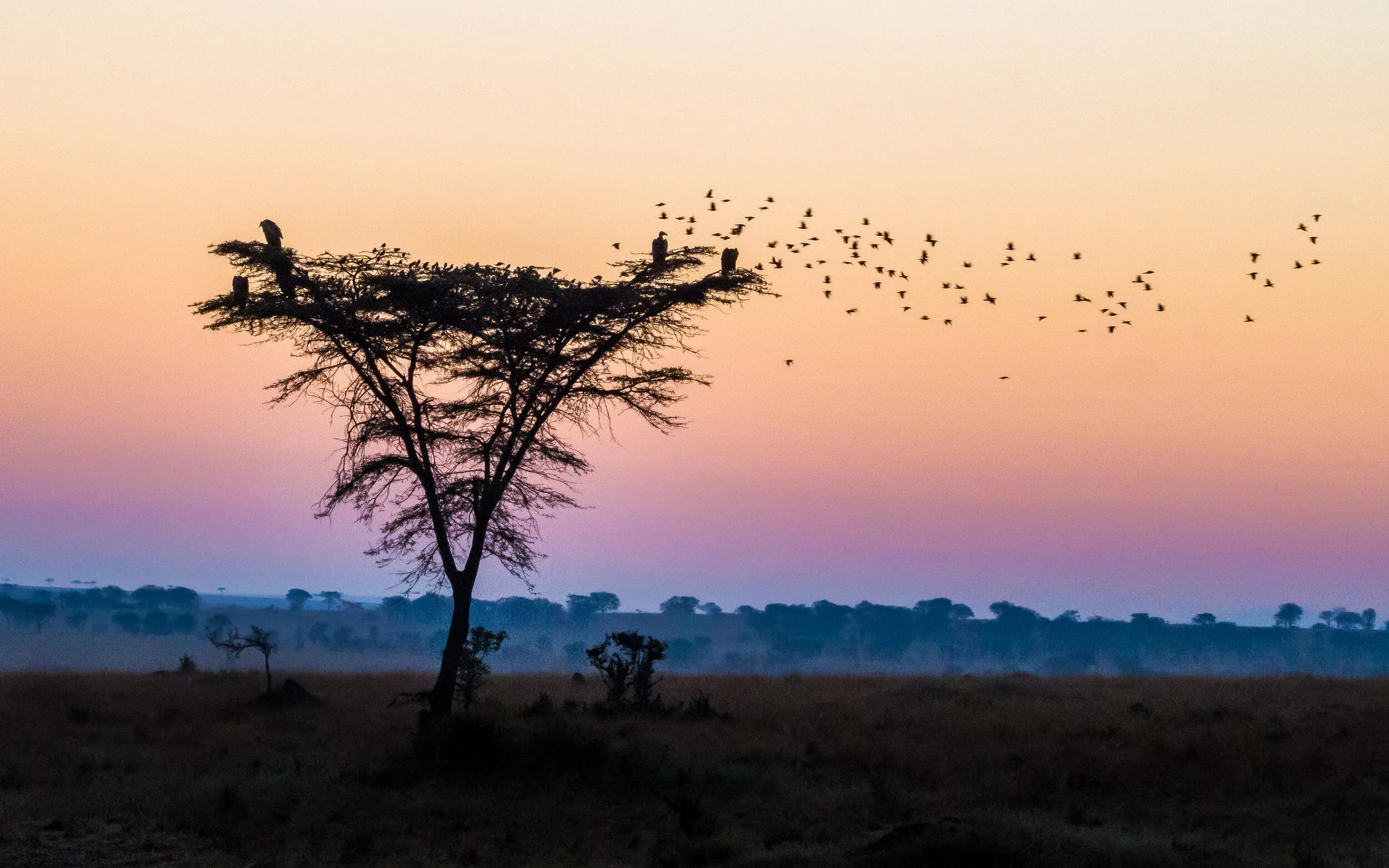 Tanzania travel photograph 12 by Chirag Bachani
