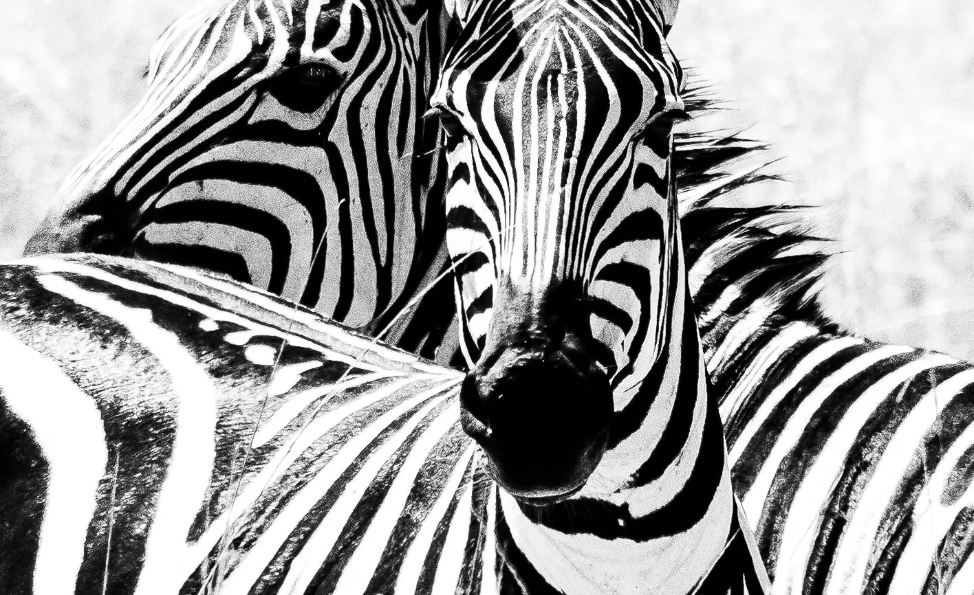 Tanzania travel photograph 13 by Chirag Bachani