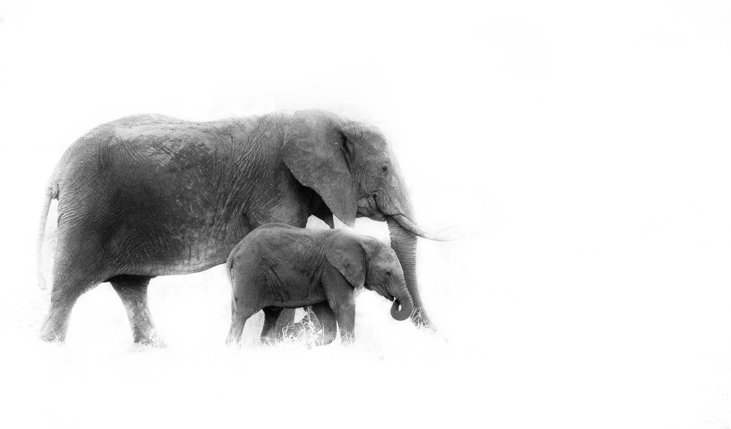 Tanzania travel photograph 15 by Chirag Bachani