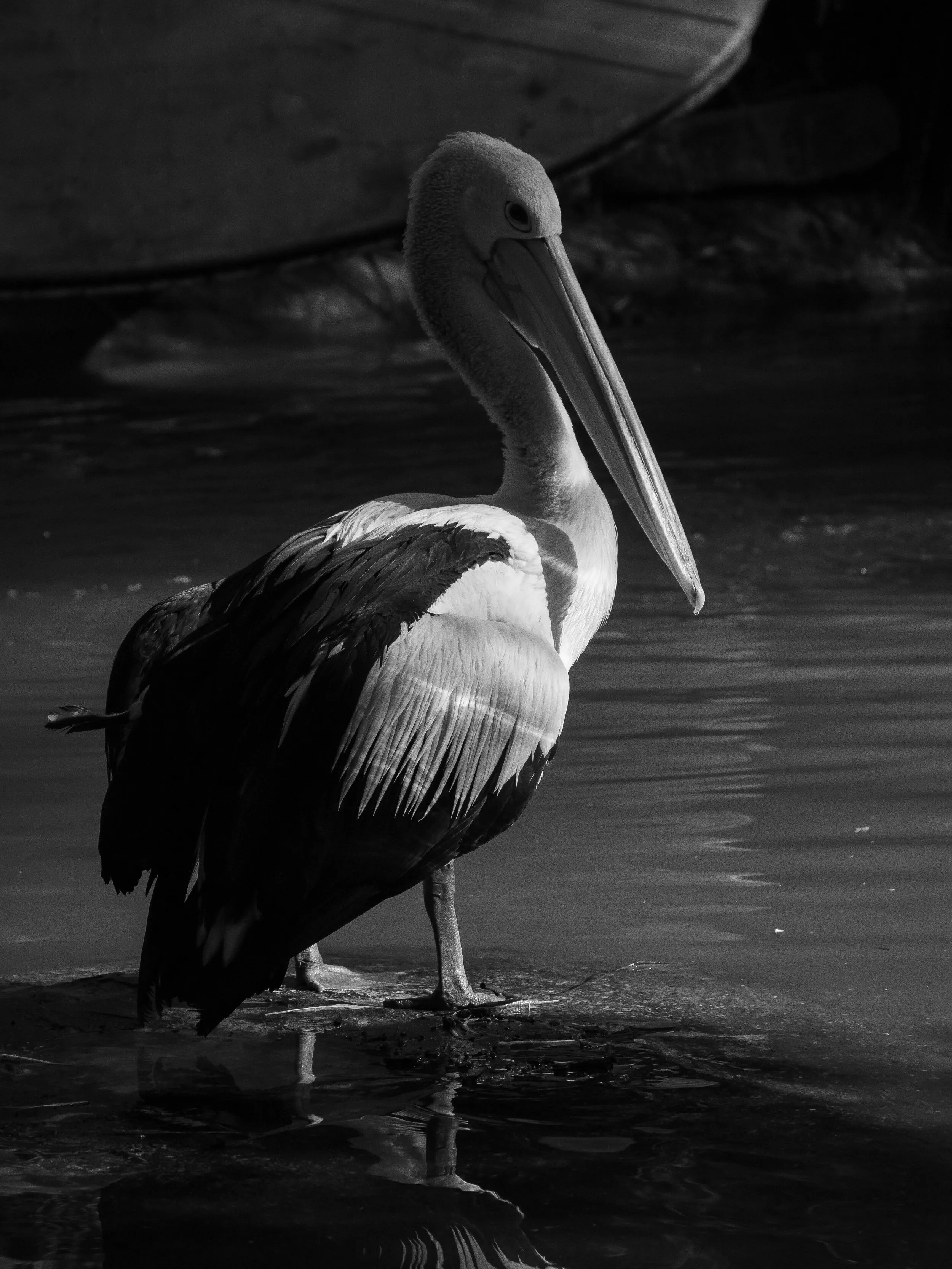 Australia travel photograph 16 by Chirag Bachani