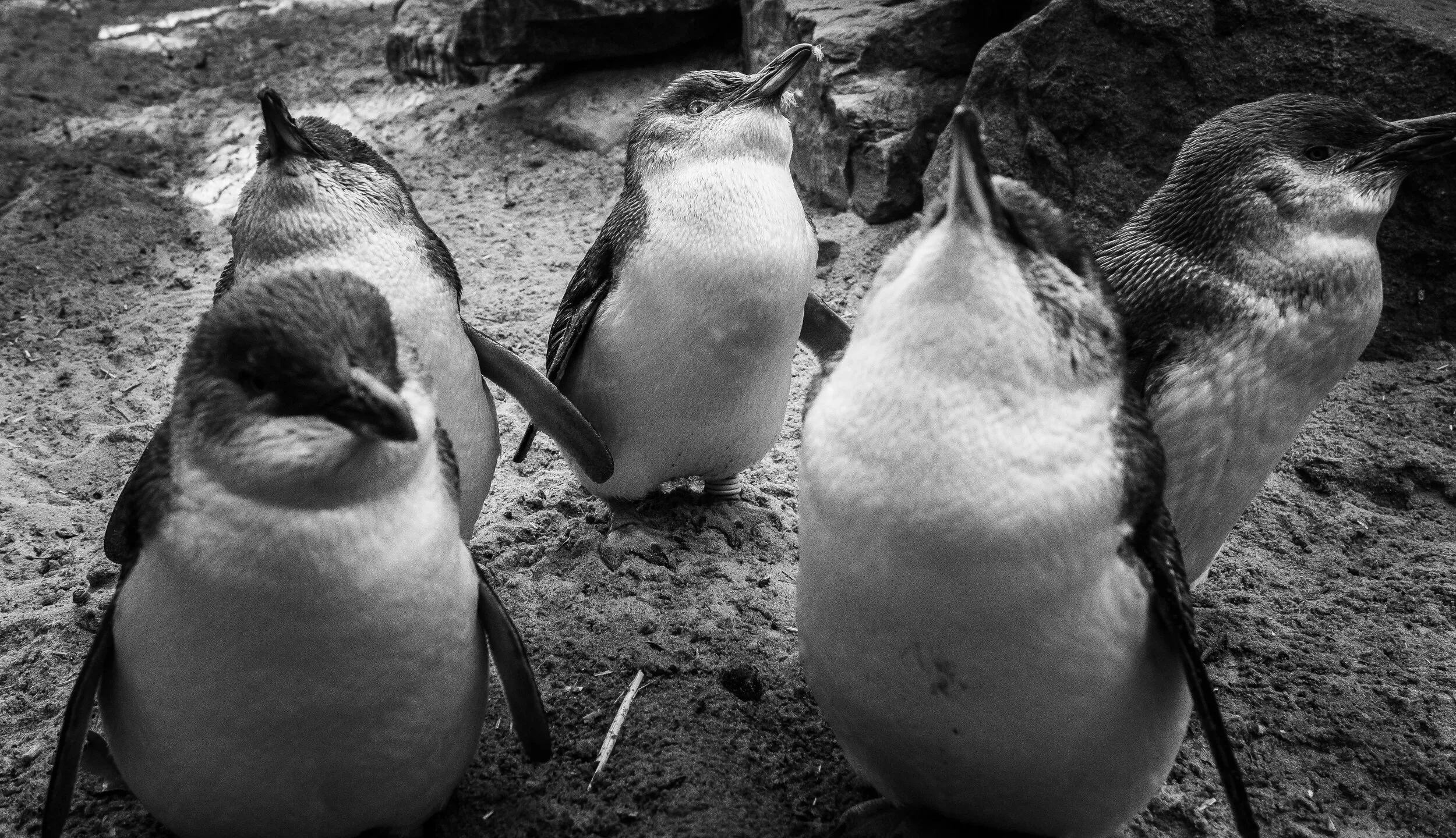 Australia travel photograph 21 by Chirag Bachani